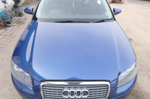 Audi A3 8P 4/5-Türer Motorhaube Haube Klappe vorn vorne blau LZ5C Sportback d
