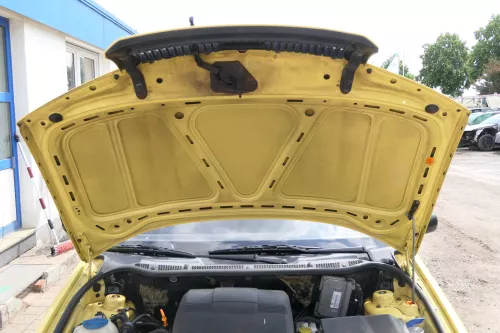 Skoda Fabia 6Y Motorhaube Klappe vorne gelb LF1R vorn     (OHNEgrill!) (175762)