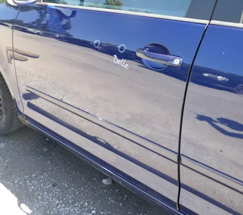 VW Golf Plus 5M Türblatt Tür vorne links Fahrertür blau LD5Q - nur Türblatt (176485)