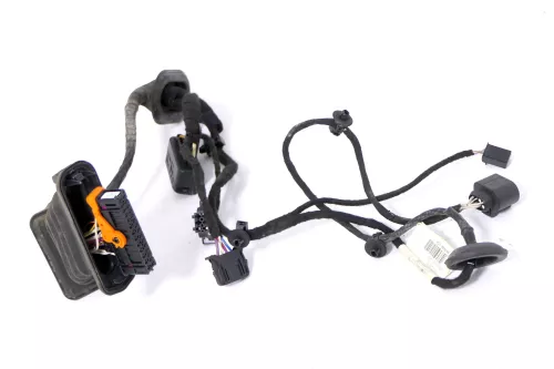 VW Passat 3C Kabelbaum Tür Türkabelbaum ZV hinten rechts 3C4971694FD /ES