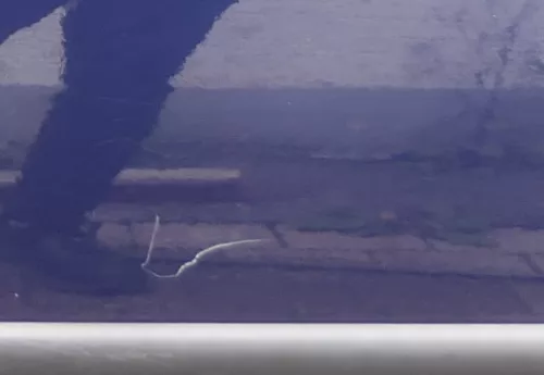 VW Golf 4 Tür vorne links Fahrertür 2/3-Türer blau LB5N ohneAnbauteile (177091)