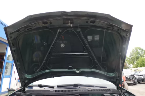 VW Golf 4 1J Motorhaube Haube Klappe vorne grün LC6M Frontklappe (177627)