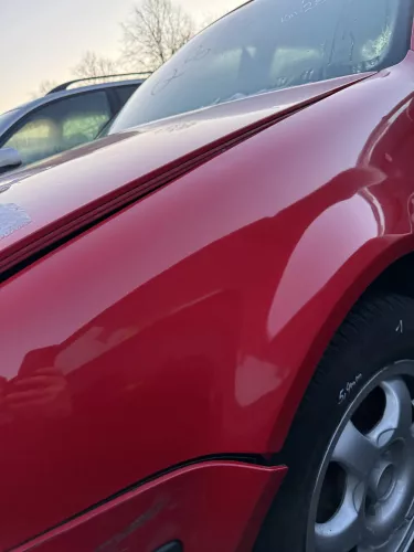 VW Golf 4 1J Kotflügel vorne links rot LY3D - kleine Hageldellen (178903)
