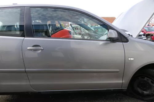 Polo 9N 9N3 Tür vorne rechts Beifahrertür 2/3-Türer grau LD7W -ohneAnbauteile