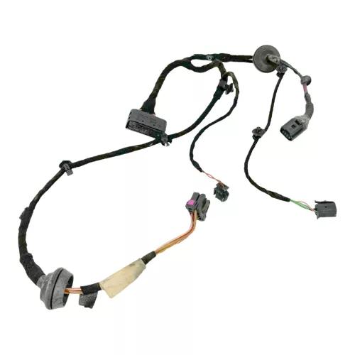 1x Passat 3BG 3B Variant Kabelbaum Tür Türkabelbaum ZV hinten l / r 3B0971161H (179645)