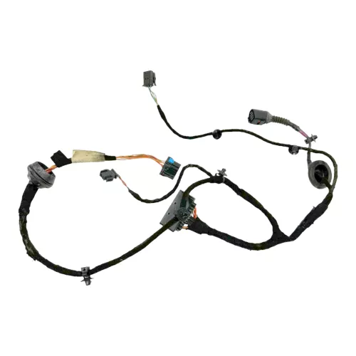 1x Passat 3BG 3B Variant Kabelbaum Tür Türkabelbaum ZV hinten l / r 3B0971161H