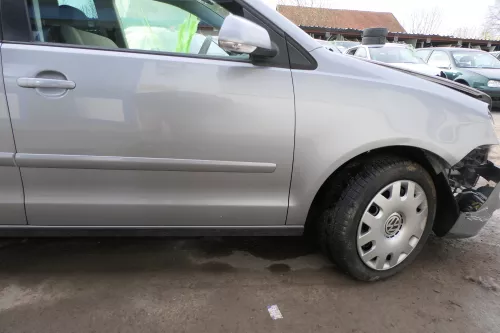 VW Polo 9N 9N3 Tür vorne rechts Beifahrertür 4/5-Türer grau silber LA7R ohneAnba (179925)