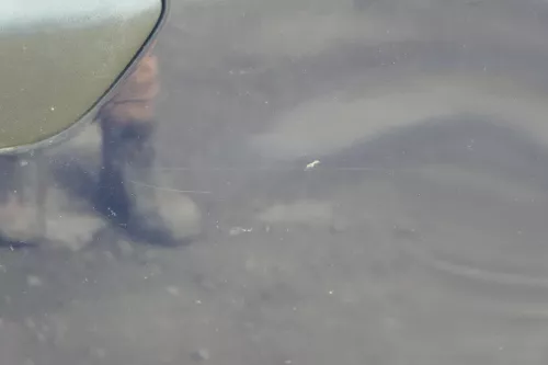 VW Golf 5 1K V Stoßstange vorne Frontoßstange Stoßfänger blau LA5G (180326)