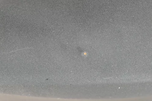 1x VW Golf 4 1J Kombi Türverkleidung Verkleidung Tür hinten links schwarz (181002)