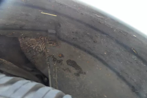 Audi A4 8E B6 Kotflügel vorne rechts blau LY7R (181473)