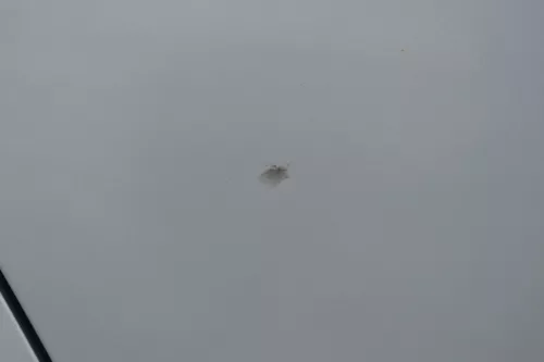 Audi A4 B7 8E Tür hinten rechts Kombi mit Scheibe blau LY5J + Rahmen Limo (181546)