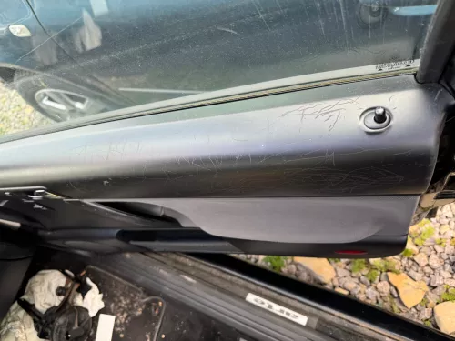 1x New Beetle 9C Türverkleidung Verkleidung Tür vorne rechts (181828)