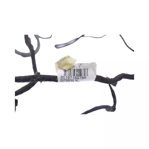 Passat 3C Kabelbaum an Türverkleidung Tür Türkabelbaum vorne links Leitungssatz (181929)