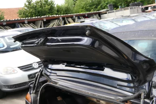 VW Golf 4 1E Cabrio Heckklappe Kofferraumklappe hinten Klappe blau LC5H (182106)