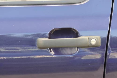 VW Golf 3 Vento Tür vorne links Fahrertür 4/5-Türer + Kombi Variant blau LC5L (182173)