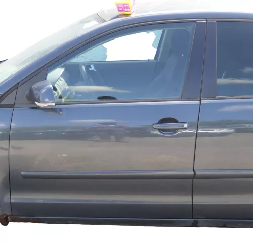 VW Polo 9N 9N3 Tür vorne links Fahrertür 4/5-Türer grau LC7V ohneAnbauteile