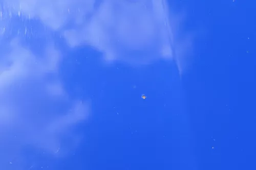 Skoda Fabia 5J Roomster Motorhaube Haube Klappe vorne blau LF5K (182549)