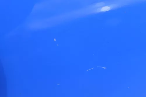 VW Polo 9N 9N3 Tür hinten links 4/5-Türer blau LA5F - ohne Anbauteile (182733)