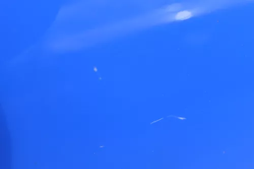 VW Polo 9N 9N3 Tür hinten links 4/5-Türer blau LA5F - ohne Anbauteile (182733)