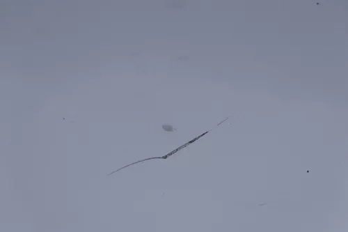 Audi A6 4B Motorhaube Klappe vorn Facelift (ab. Mitte 2002) silber LY7W + Grill (183036)