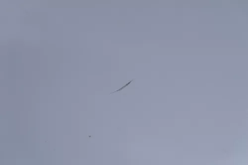 Audi A6 4B Motorhaube Klappe vorn Facelift (ab. Mitte 2002) silber LY7W + Grill (183036)