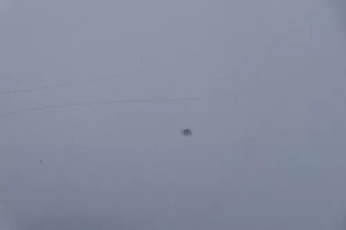 Passat 3C Motorhaube Klappe vorne vorn Haube silber grau LA7W reflexsilber (183091)