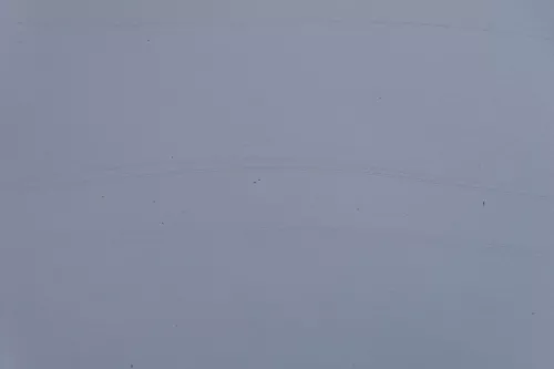 Passat 3C Motorhaube Klappe vorne vorn Haube silber grau LA7W reflexsilber (183091)