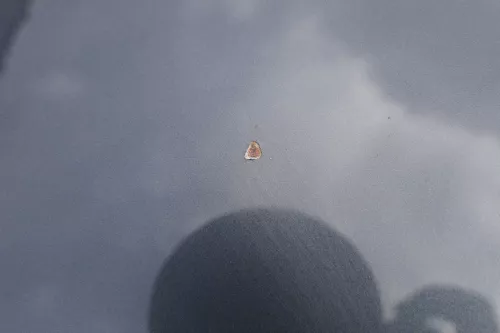 VW Polo 9N3 Cross Motorhaube KLappe vorne grau LC7V (183192)