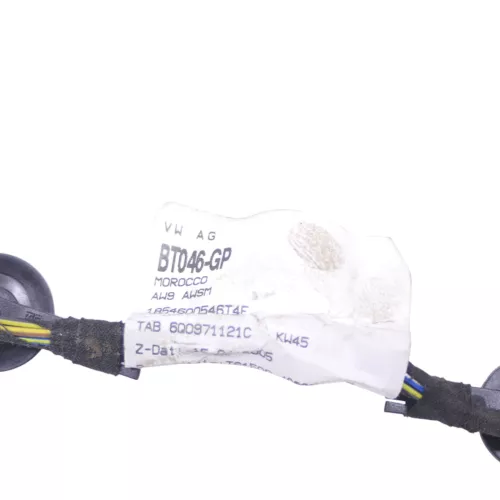 VW Polo 9N Kabelbaum Tür Türkabelbaum ZV vorne rechts Leitungssatz 6Q0971126BH (183208)