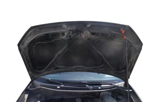 VW Polo 9N3 Cross Motorhaube KLappe vorne schwarz L041 (183231)