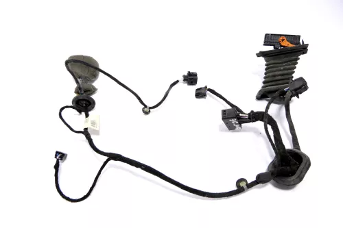 VW Passat 3C Kabelbaum Tür Türkabelbaum ZV hinten links 3C4971693FR (183418)