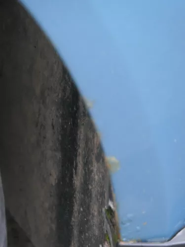 VW Passat 3B Kotflügel vorne links blau grün türkis ( evtl. LB7T oder LB6N ???) (183617)