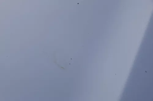 Skoda Fabia 6Y Motorhaube Klappe vorne silber LF7T vorn     (OHNEgrill!) (183657)