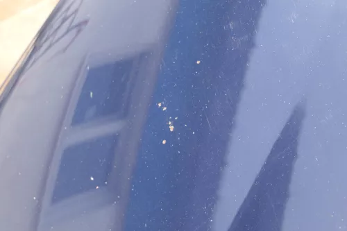 VW Sharan 7M Motorhaube Klappe Haube vorn vorne blau LA5G ab ca.Bj2000passend (183714)