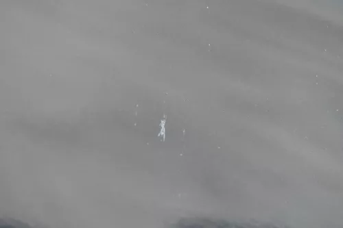 VW Polo 9N 9N3 Tür hinten links 4/5-Türer schwarz LC9Z - ohne Anbauteile (183794)