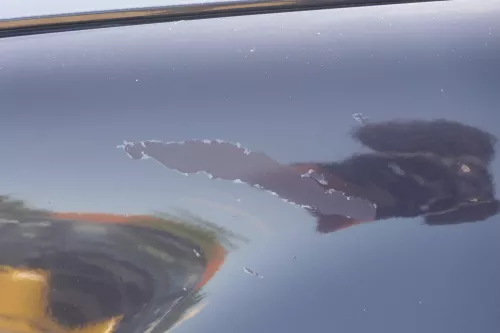 VW Golf 4 1J Kotflügel vorne links blau LA5G (183892)