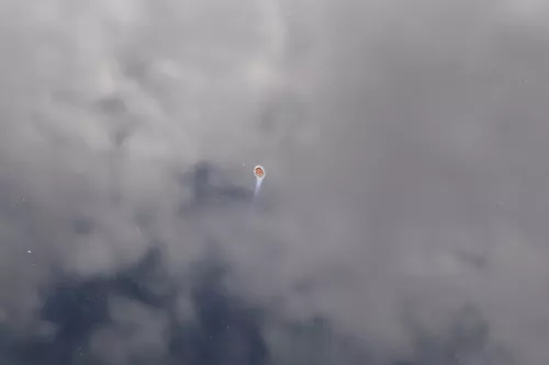 VW Golf 5 V 1K Motorhaube Haube Klappe vorne schwarz L041 (184024)