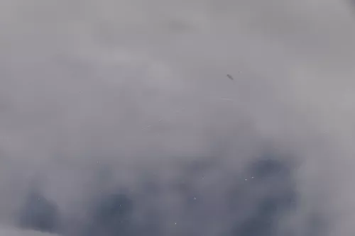 VW Golf 5 V 1K Motorhaube Haube Klappe vorne schwarz L041 (184024)