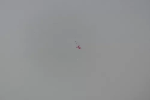 A4 B6 8E Türblatt Tür hinten links silber LY7W (184054)