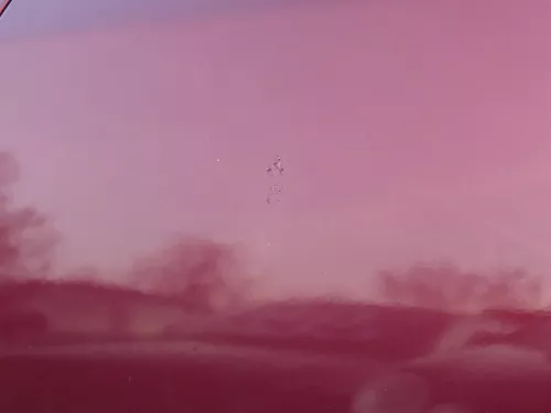 Audi A6 4B C5 Tür nur Türblatt vorne links Fahrertür rot LZ3L - ohne Anbauteile (184088)