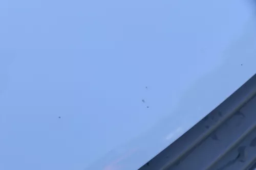 VW Lupo Motorhaube Klappe Frontklappe Haube vorne weiß LB9A (184163)