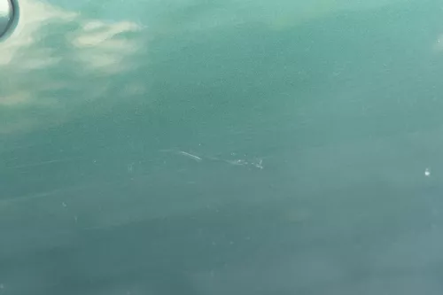 VW Golf 4 Bora Tür vorne rechts Beifahrertür 4/5-Türer+Kombi Variant grün LC6M (184181)