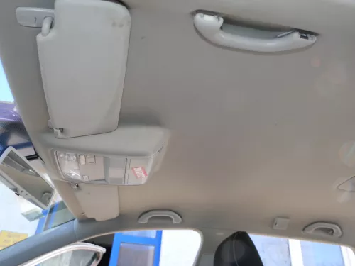 VW Golf 5 + 6 Variant Kombi 1K AJ5 Himmel Dachhimmel Dach oben grau CT (184254)