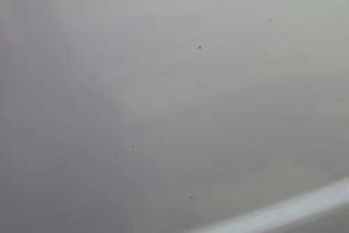 Skoda Fabia 6Y Kombi Limousine Tür vorne rechts Beifahrertür grau silber LF7T (184281)