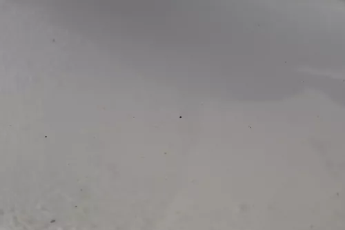 Skoda Fabia 6Y Kombi Stufenhec Stoßstange hinten Heckstoßstange grau silber LF7T (184286)