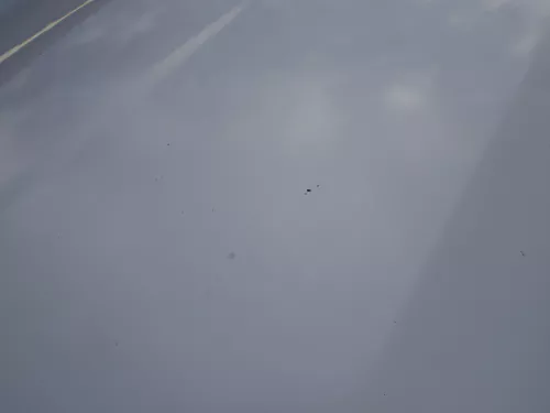 Skoda Octavia 1U Motorhaube Haube Klappe vorne silber grau LF7T mit Grill (184300)