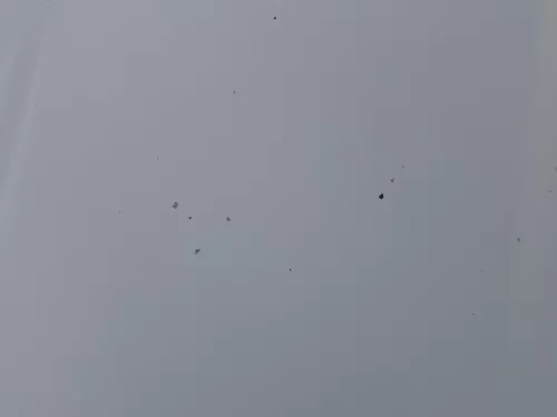 Skoda Octavia 1U Motorhaube Haube Klappe vorne silber grau LF7T mit Grill (184300)