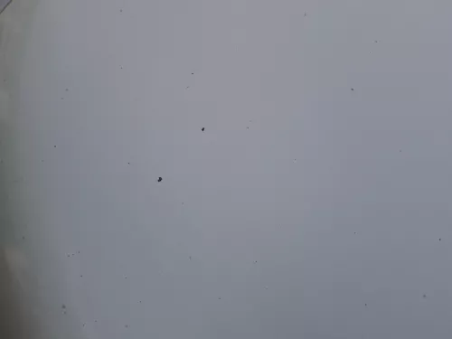 Skoda Octavia 1U Motorhaube Haube Klappe vorne silber grau LF7T mit Grill (184300)