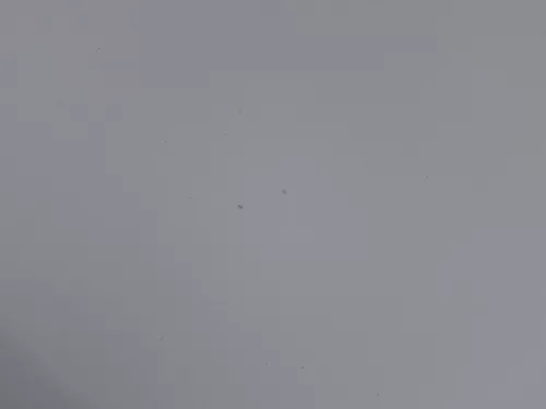 Skoda Octavia 1U Motorhaube Haube Klappe vorne silber grau LF7T mit Grill (184300)