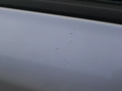 Skoda Octavia 1U Kombi  +Limo Tür vorne rechts Beifahrertür grau silber LF7T (184303)